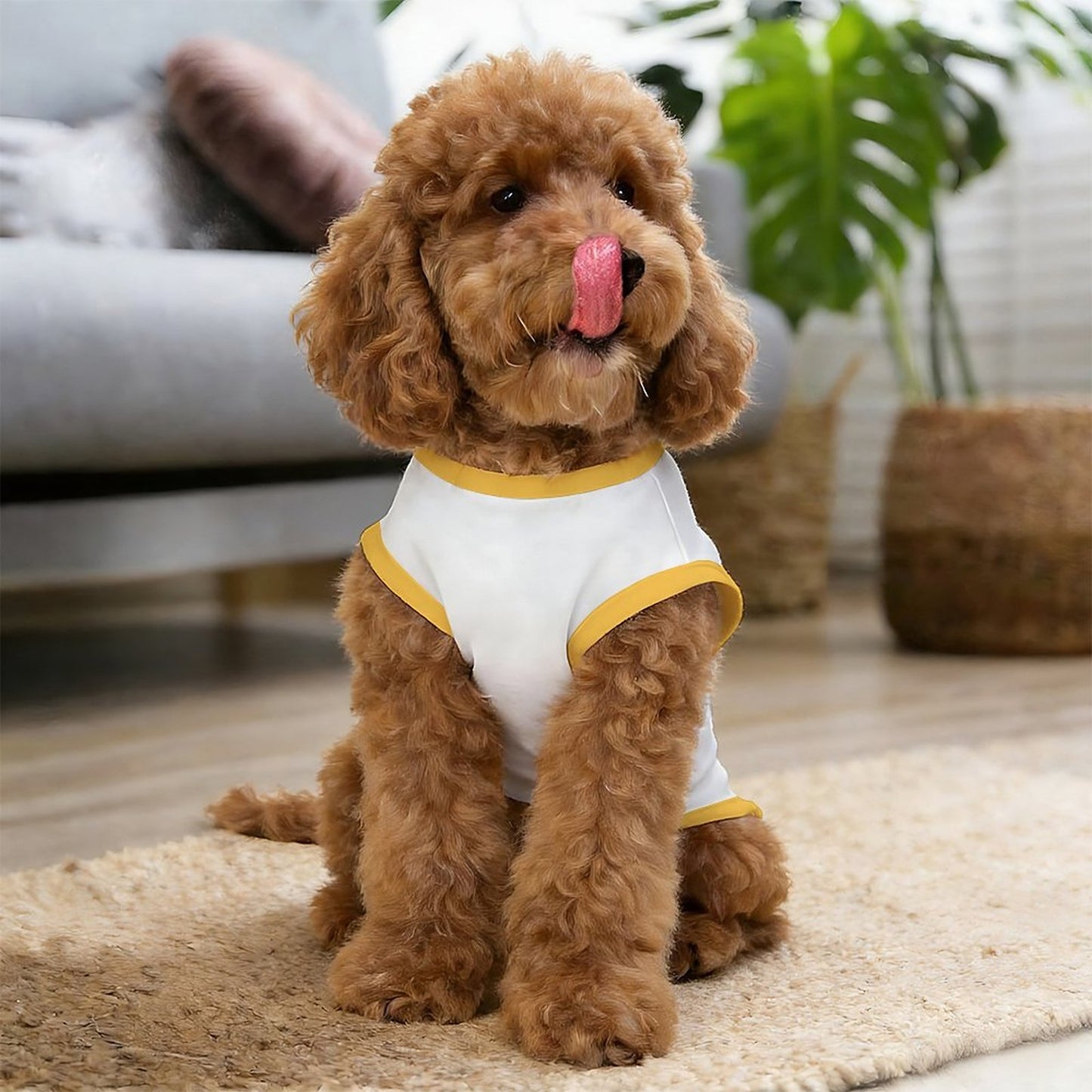 Pyjama et chandail Illustration pour chien – Collection WILLOW
