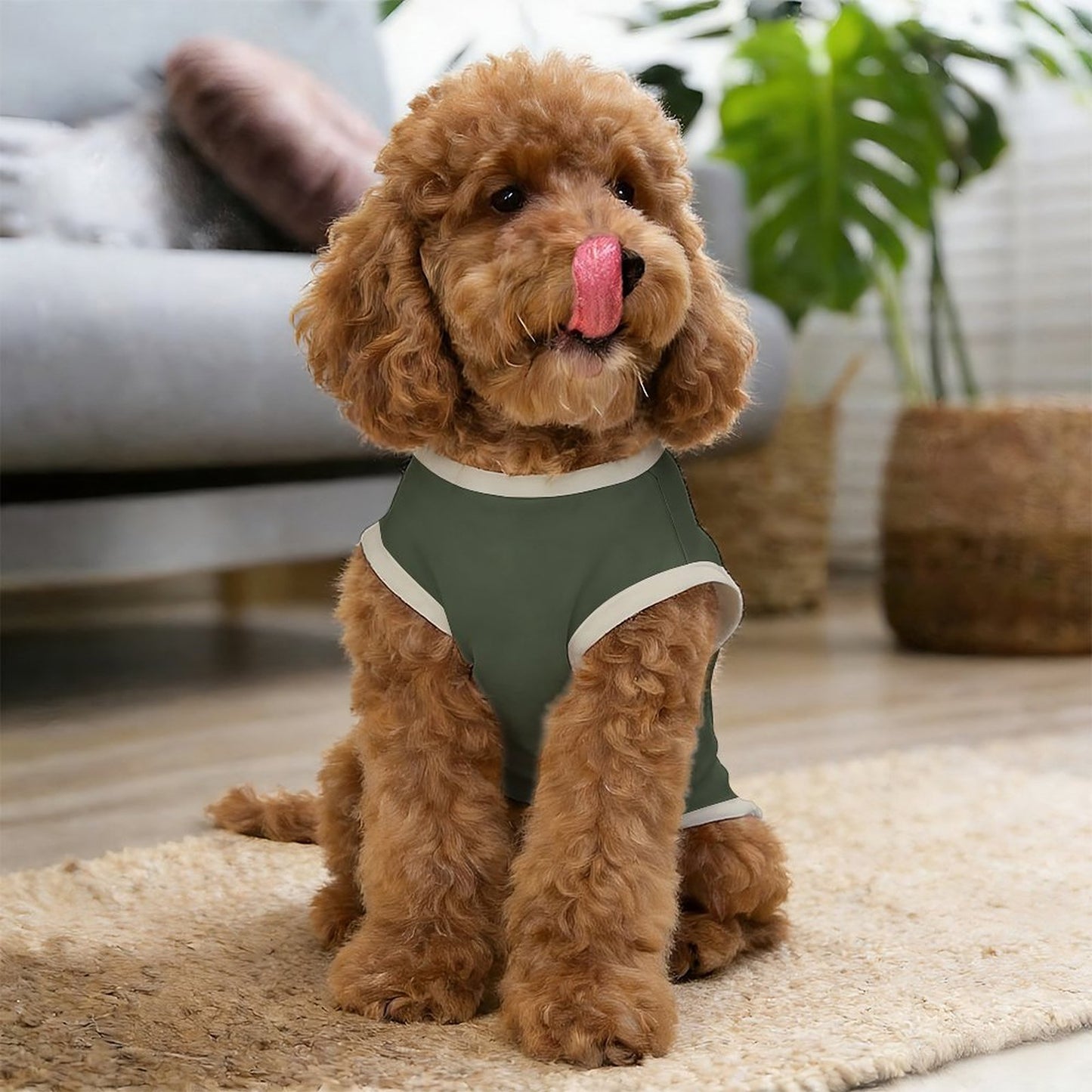Pyjama et chandail vert forêt Illustration pour chien – Collection EDEN