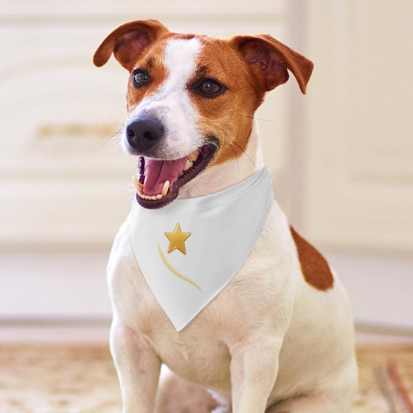 Bandana Signature – Collection Willow