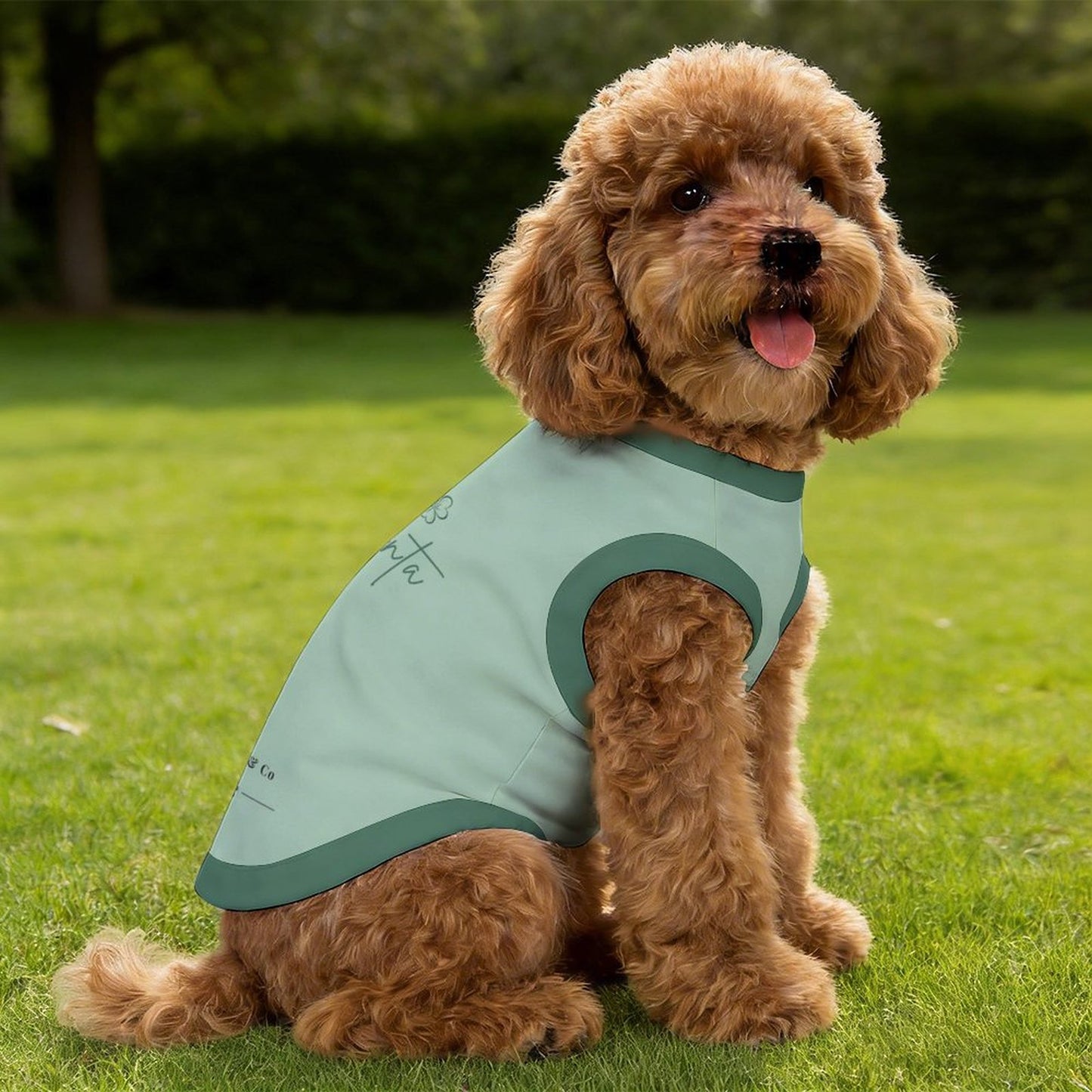 Pyjama et chandail Signature pour chien – Collection MINTA