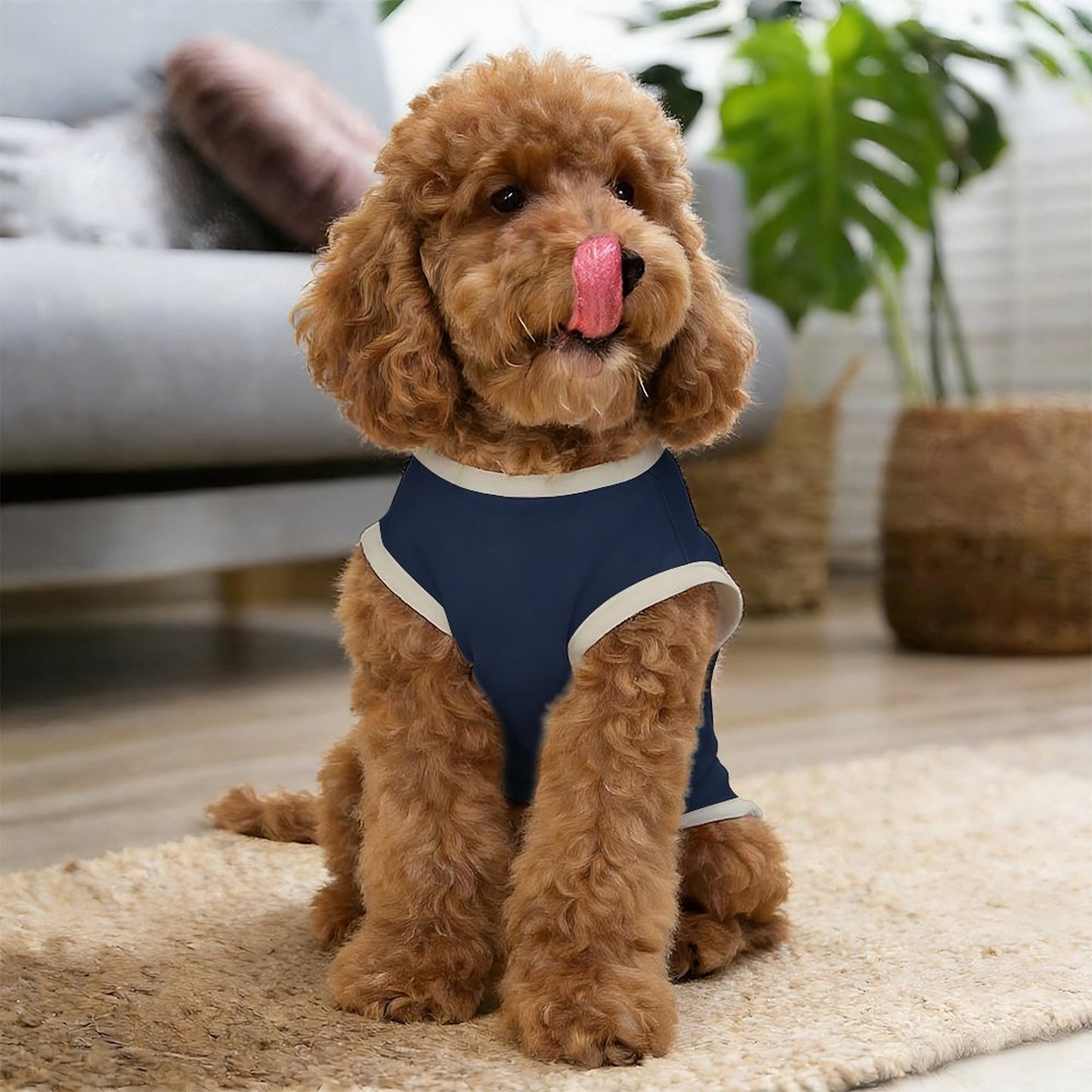 Pyjama et chandail bleu nuit Illustration pour chien – Collection ELARA