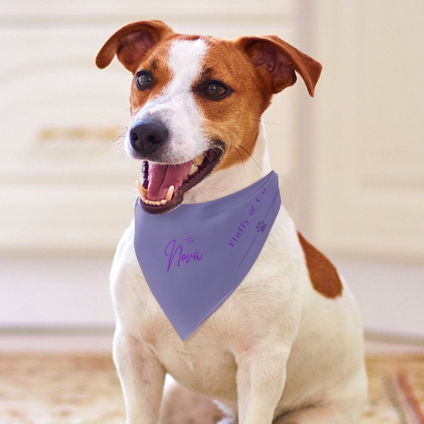 Bandana Signature – Collection Nova