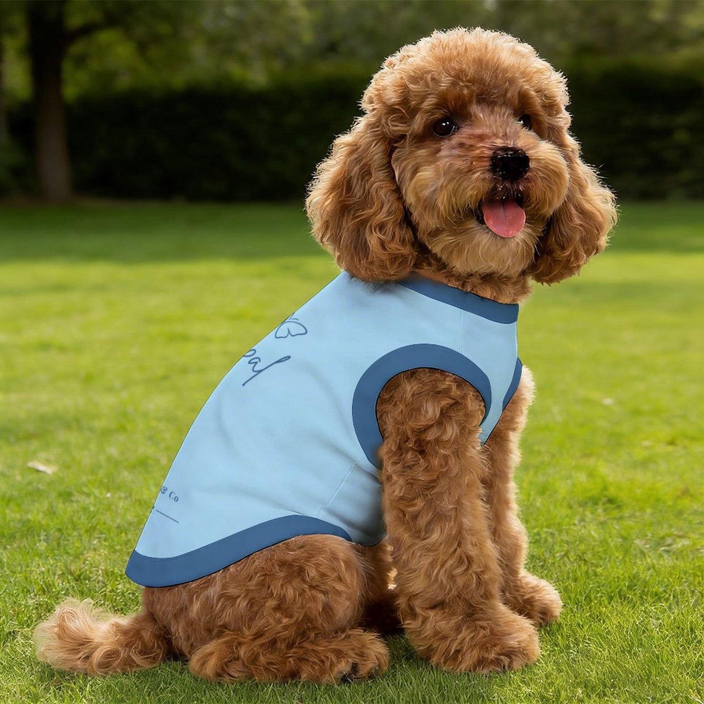 Pyjama et chandail Signature pour chien – Collection OPAL
