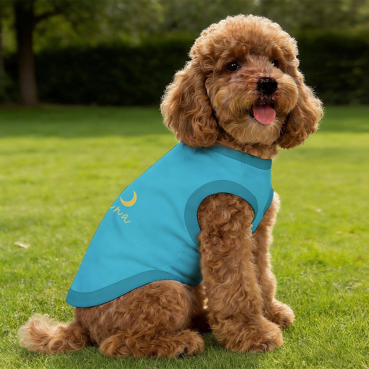 Pyjama et Chandail Signature pour chien – Collection Luna