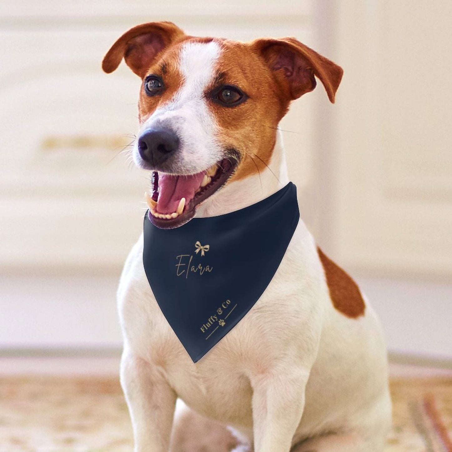 Customised Dog Bandana
