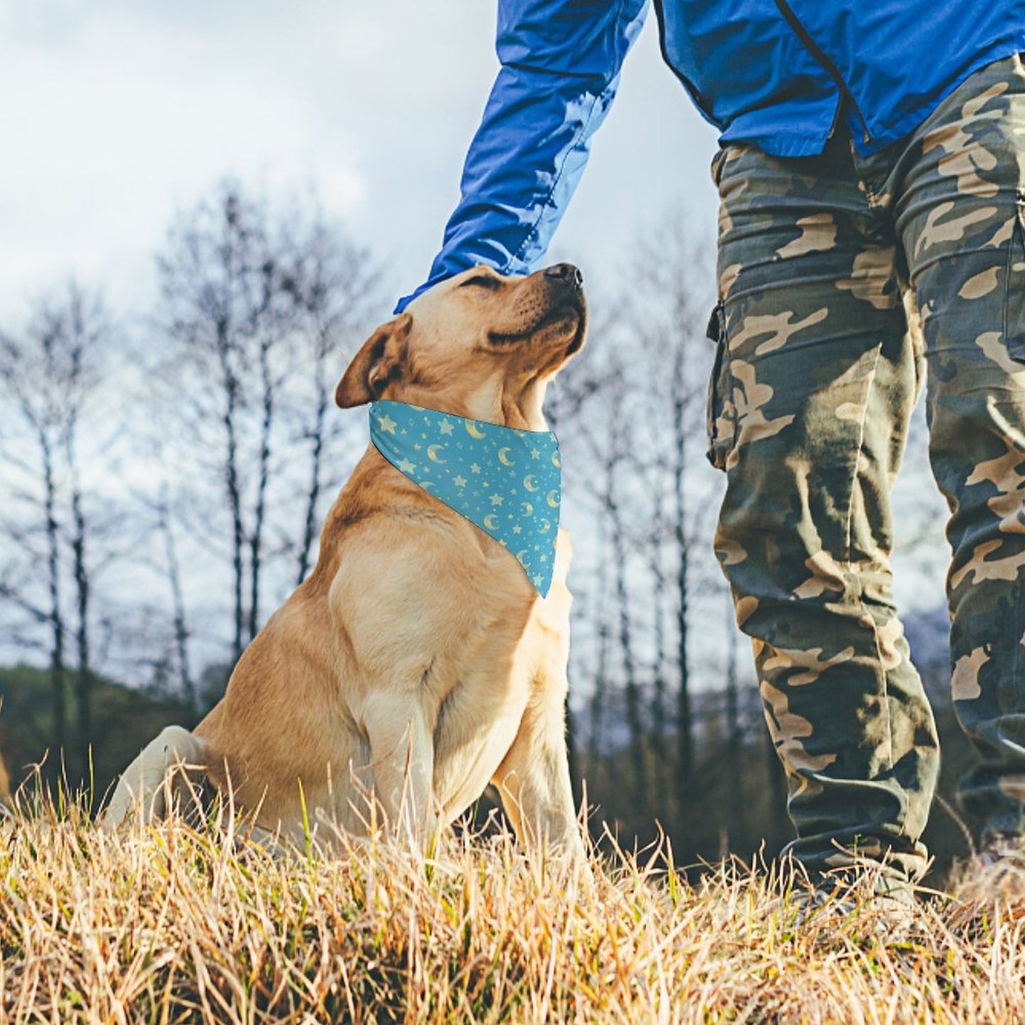 Customised Dog Bandana