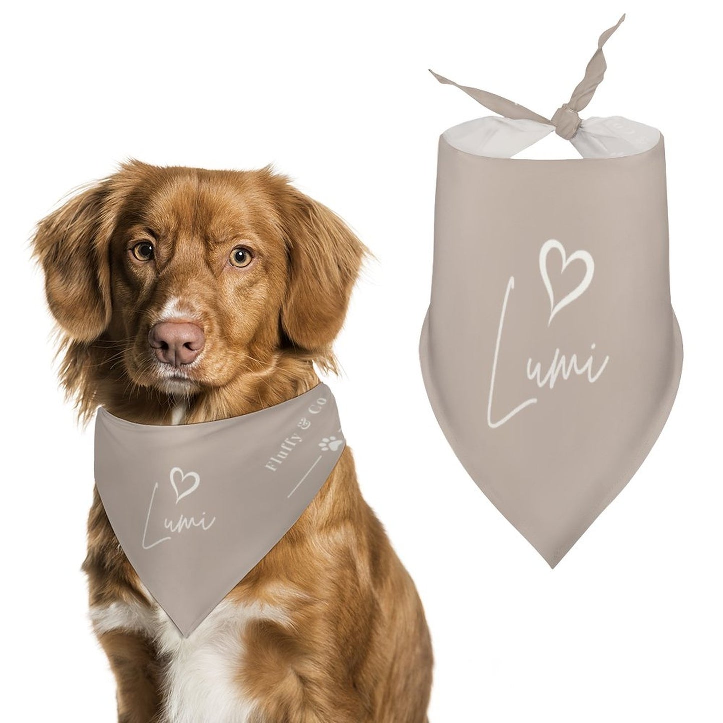 Bandana Signature – Collection Lumi