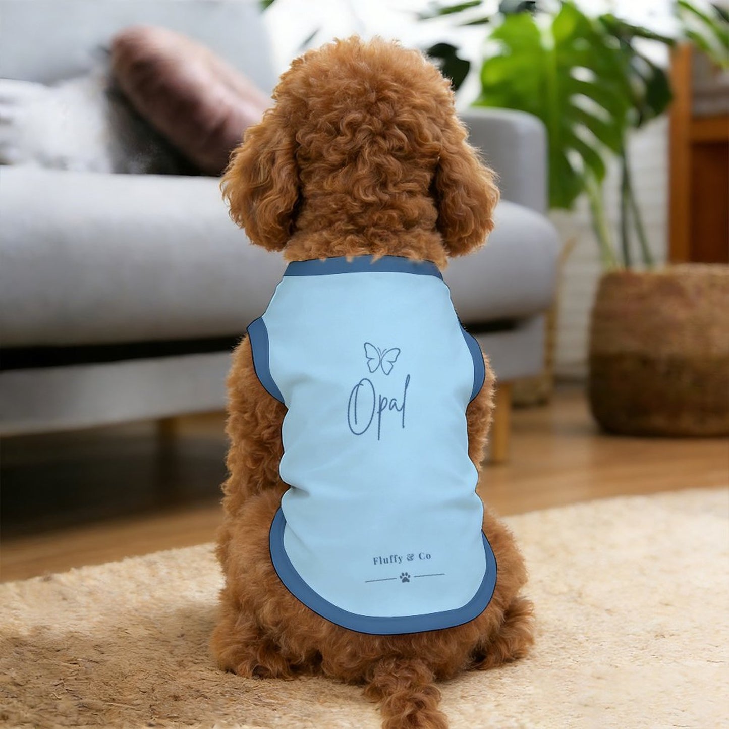 Pyjama et chandail Signature pour chien – Collection OPAL