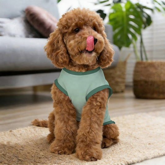 Pyjama et chandail Signature pour chien – Collection MINTA