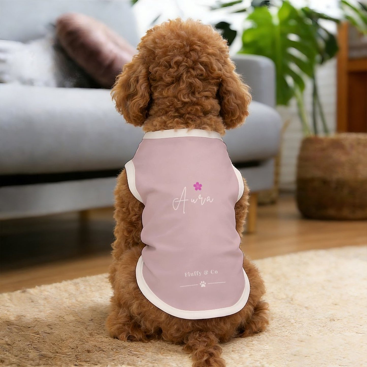 Pyjama et chandail Signature pour chien – Collection AURA