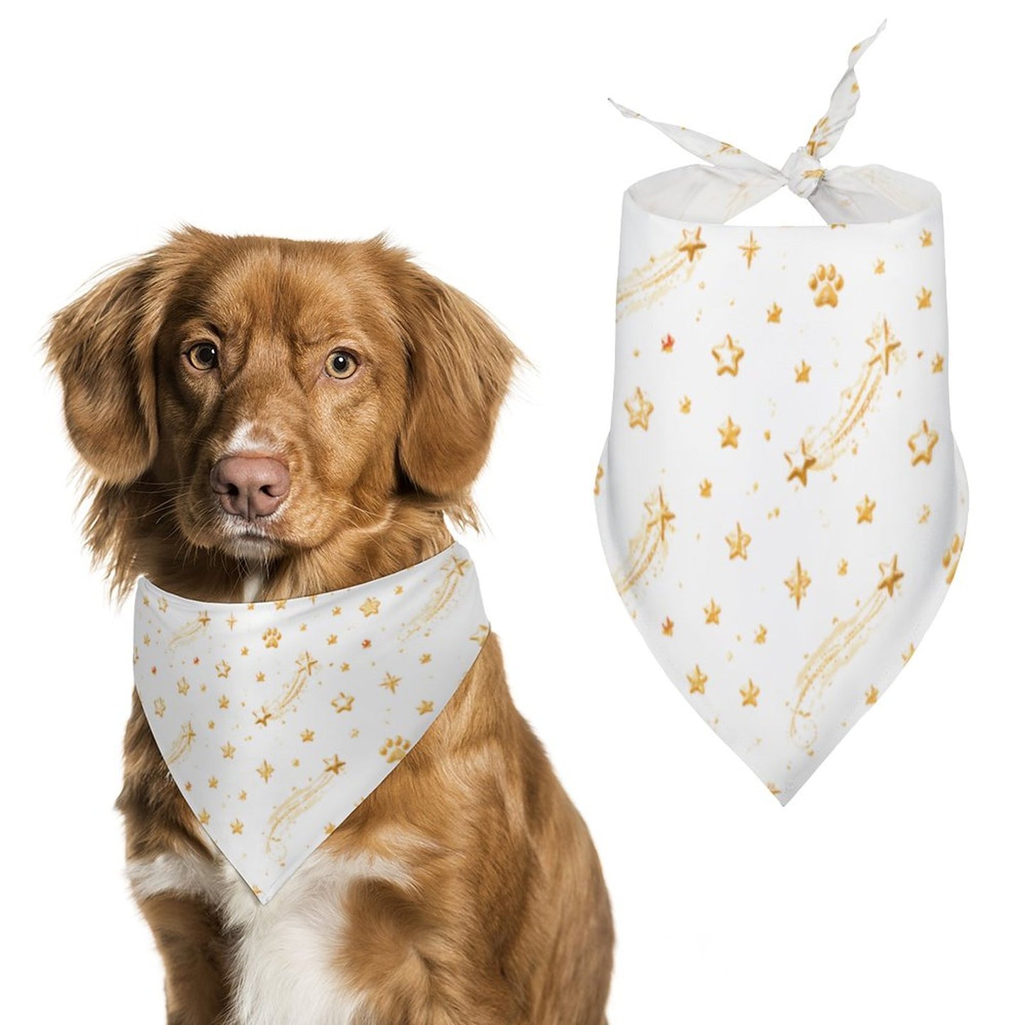 Customised Dog Bandana