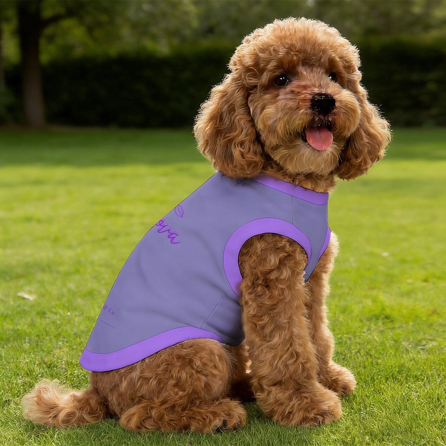 Pyjama et Chandail Signature pour chien – Collection Nova