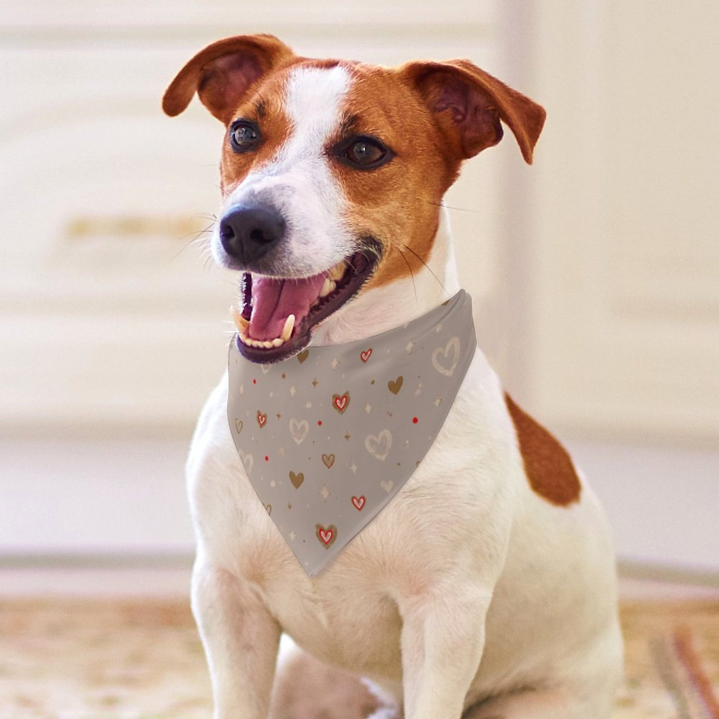 Customised Dog Bandana