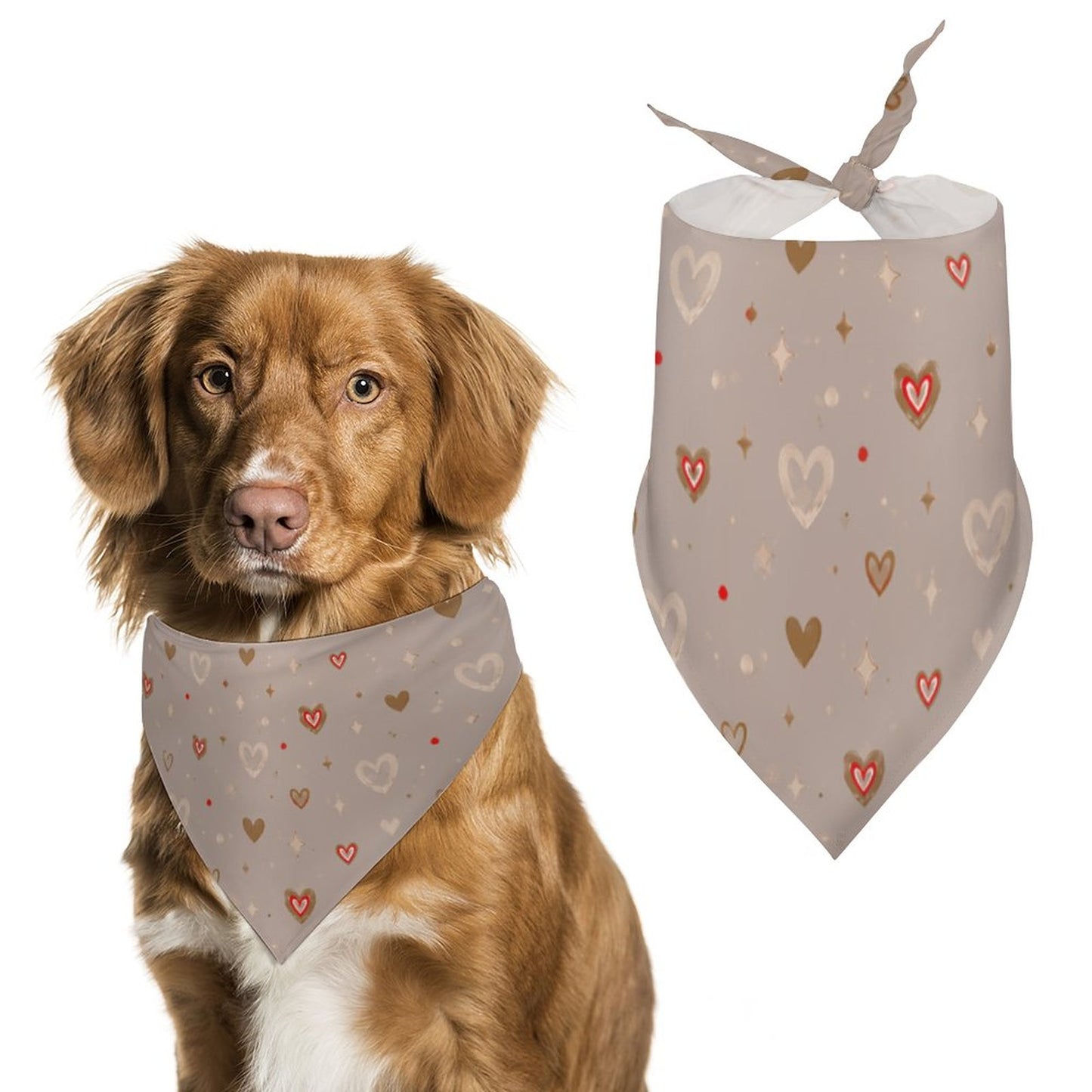 Customised Dog Bandana