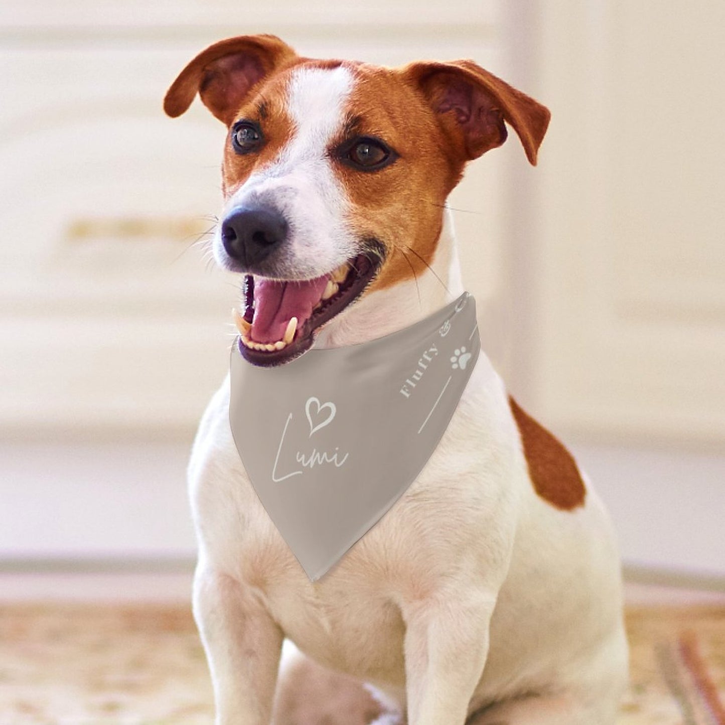 Bandana Signature – Collection Lumi