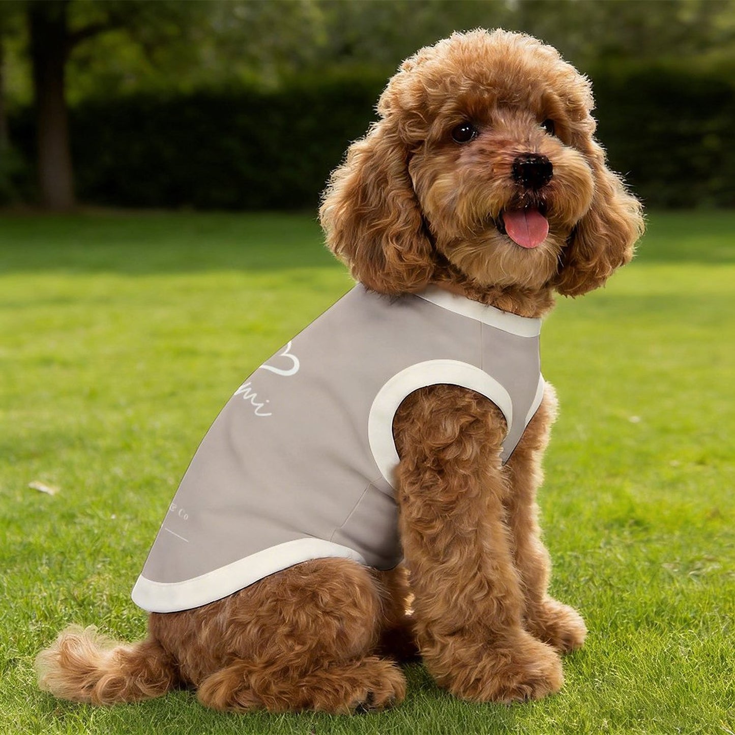 Pyjama et chandail Signature pour chien - Collection Lumi