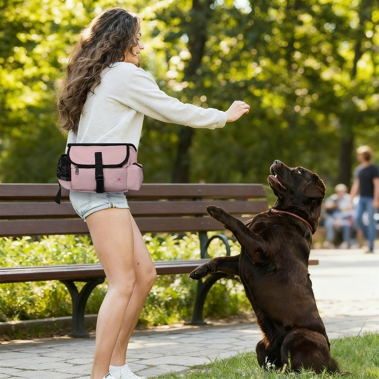 Pochette de promenade Signature – Collection AURA