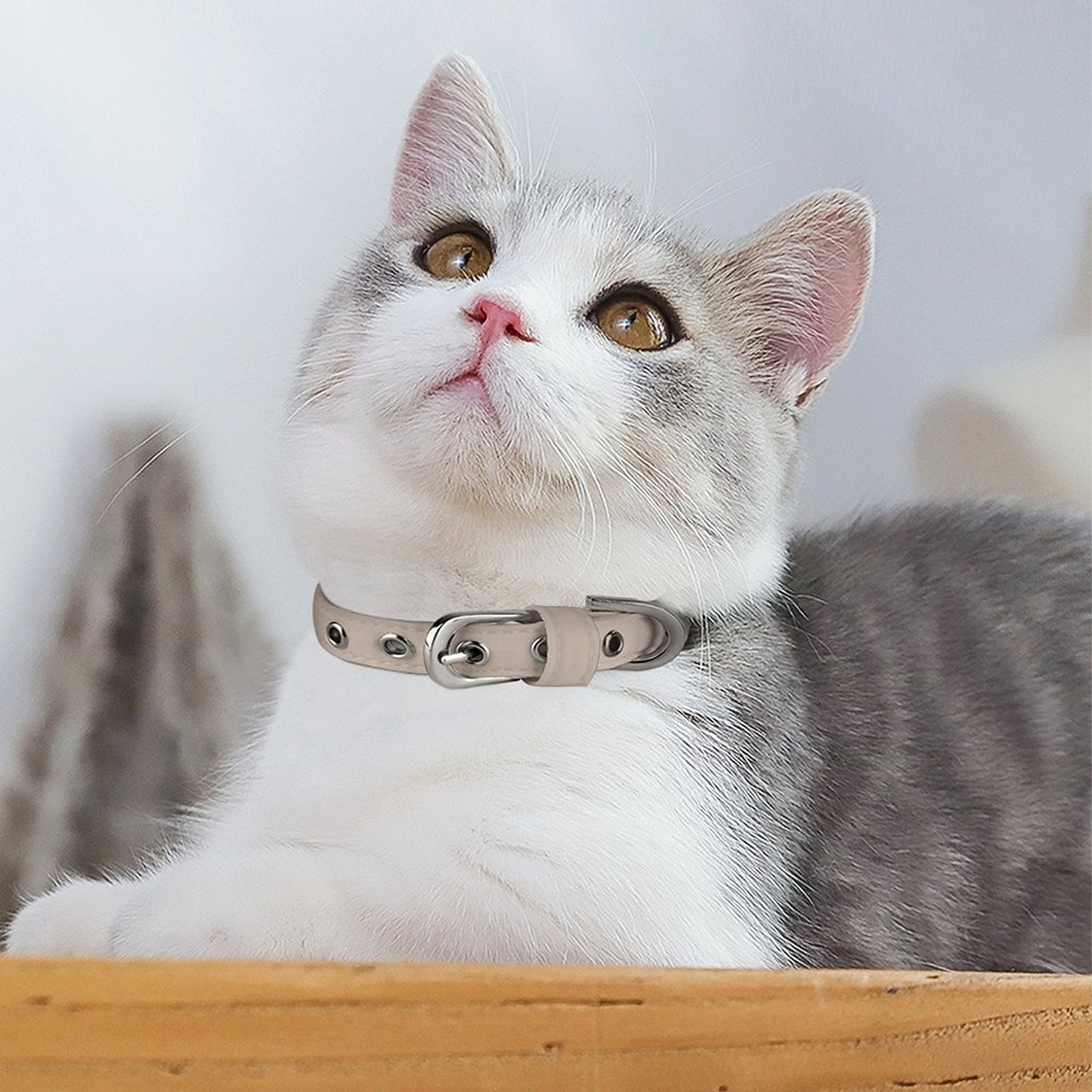 Oxford Cloth Adjustable Pet Collar for Dogs