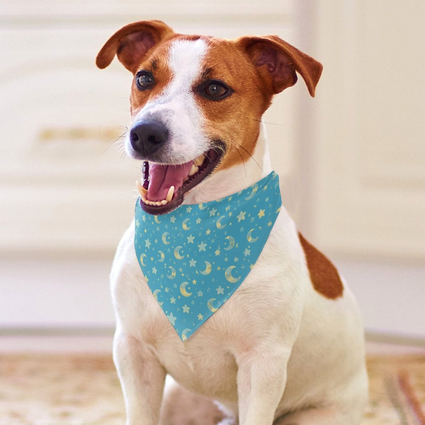 Customised Dog Bandana