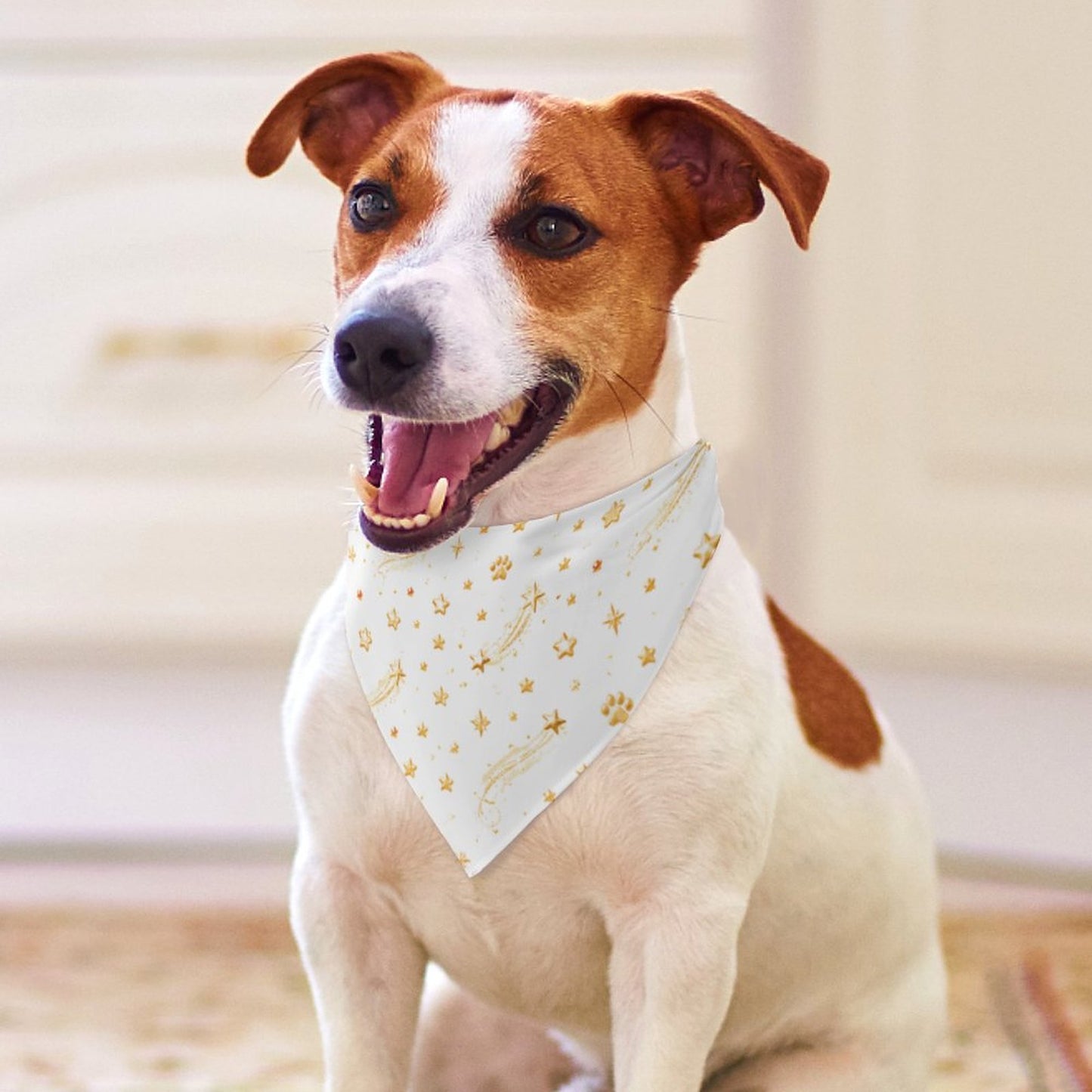 Customised Dog Bandana