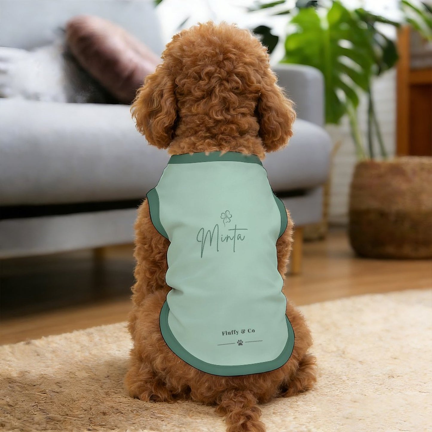 Pyjama et chandail Signature pour chien – Collection MINTA