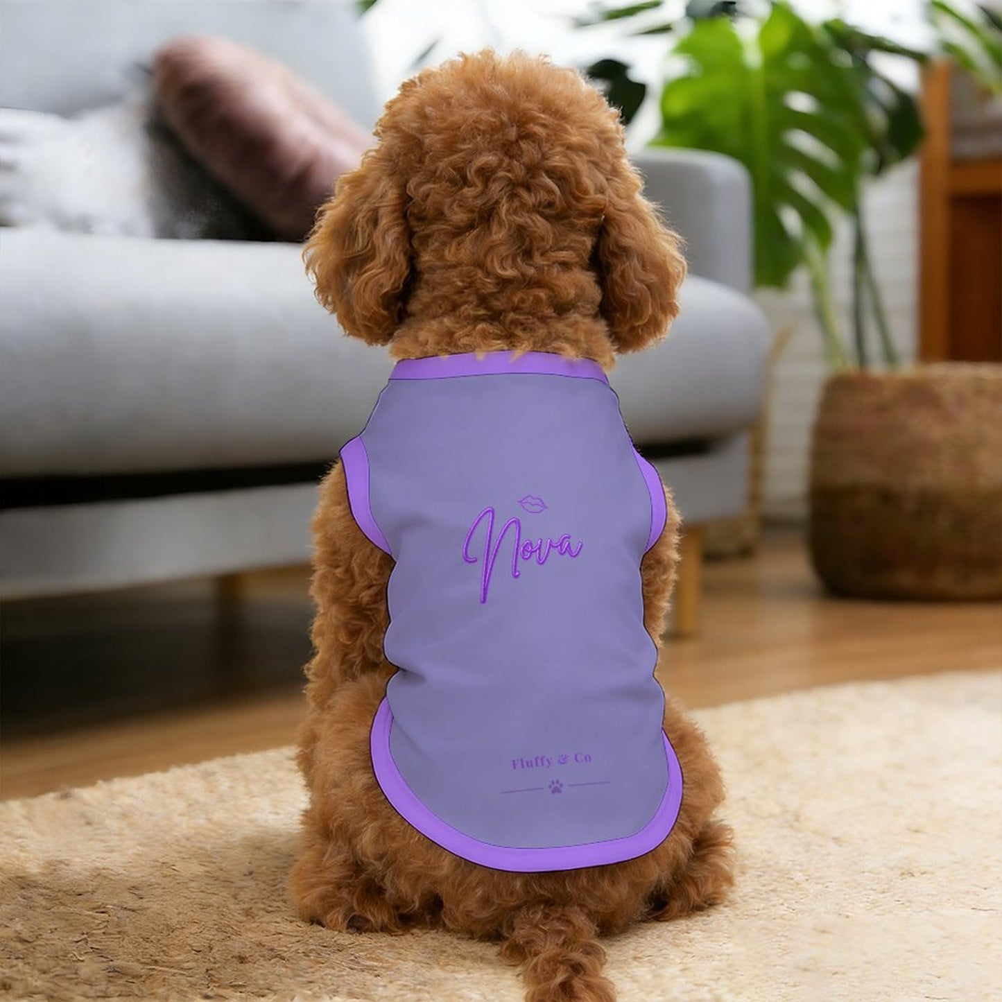Pyjama et Chandail Signature pour chien – Collection Nova