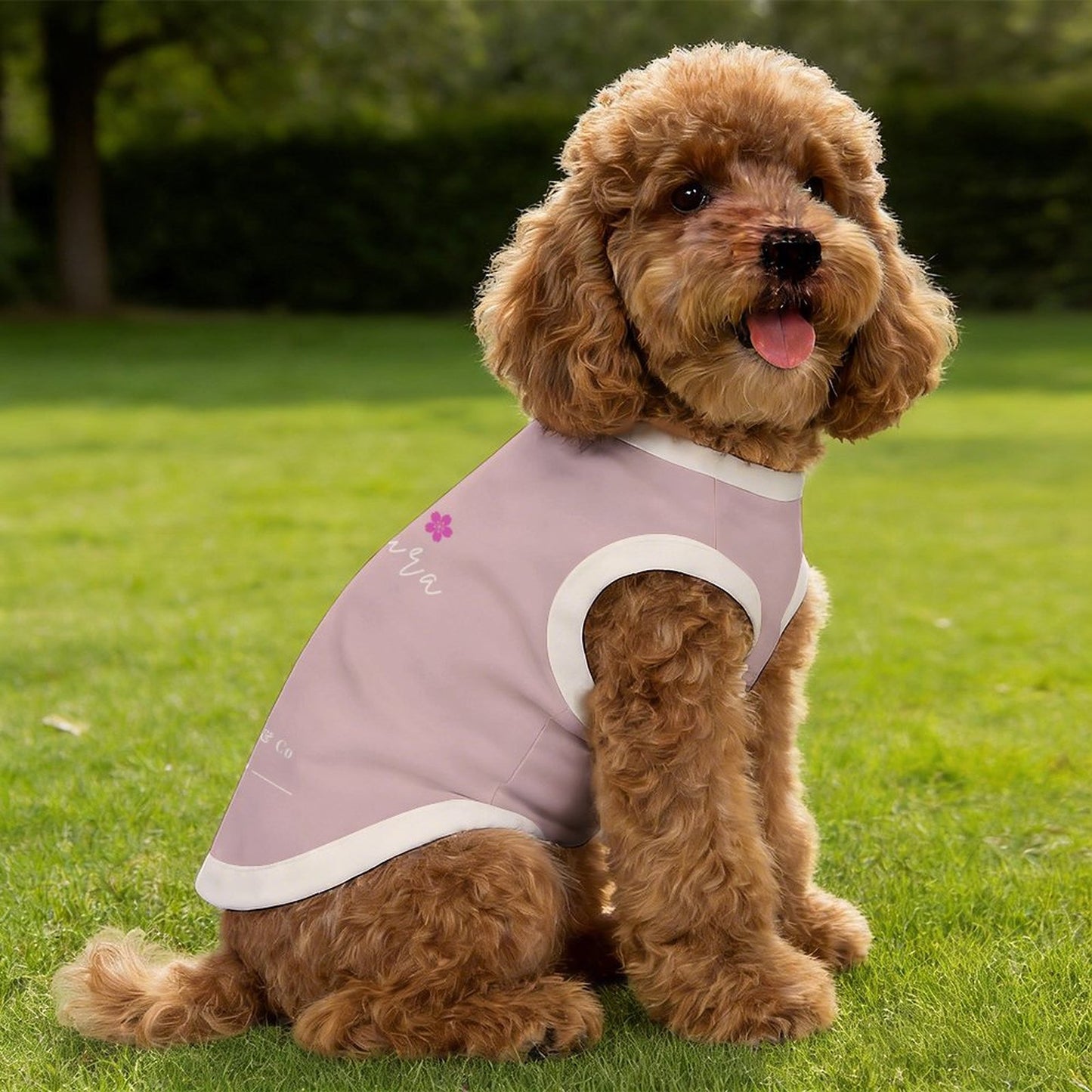 Pyjama et chandail Signature pour chien – Collection AURA