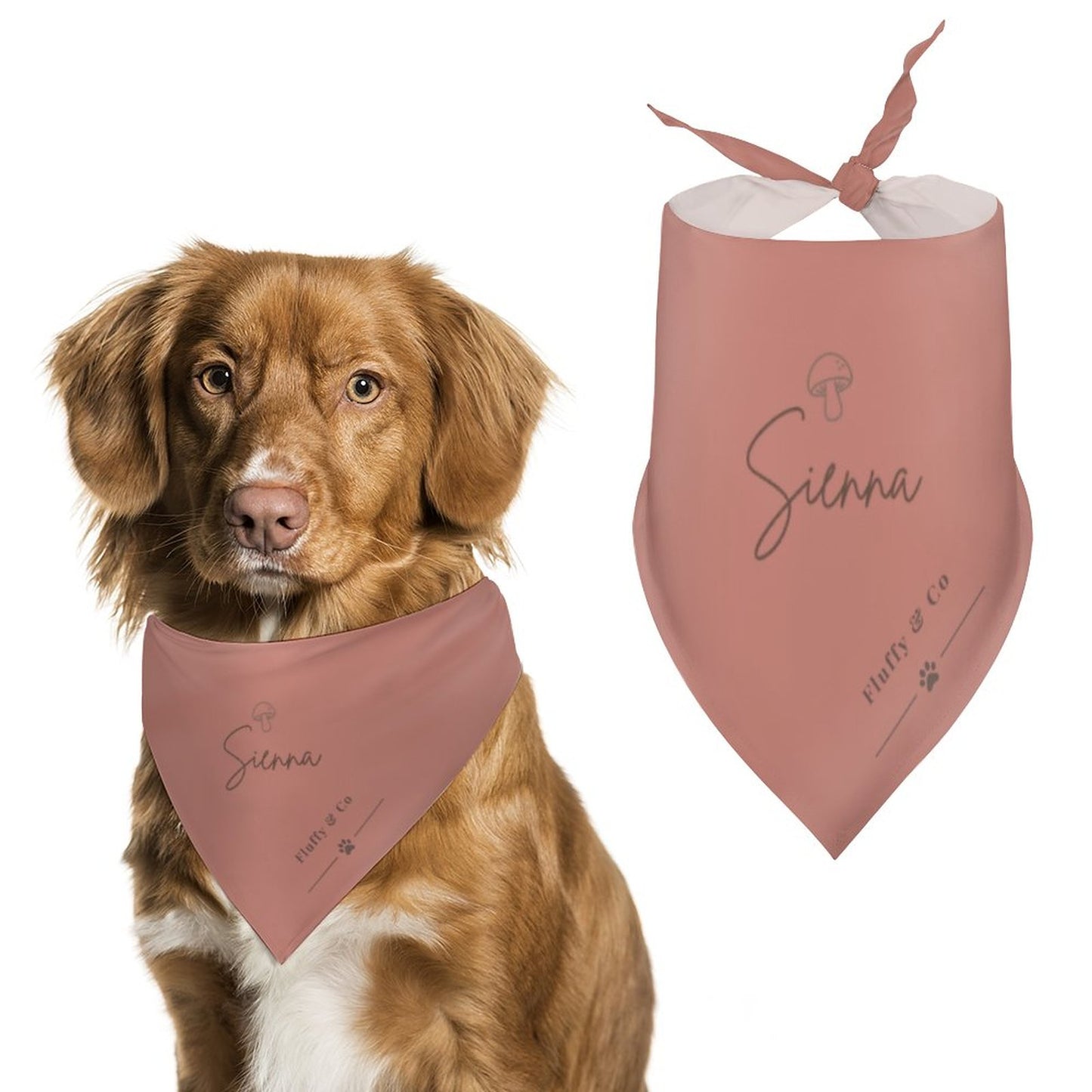 Customised Dog Bandana