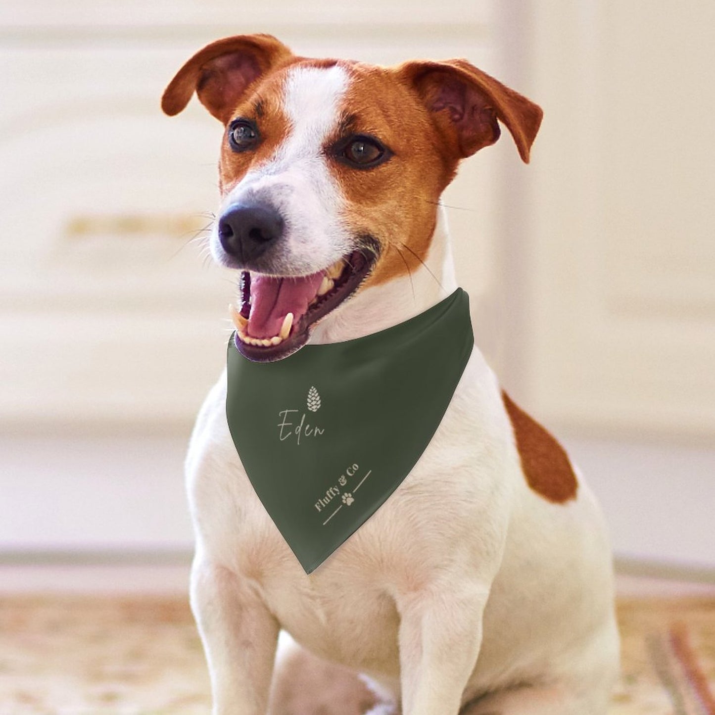 Customised Dog Bandana