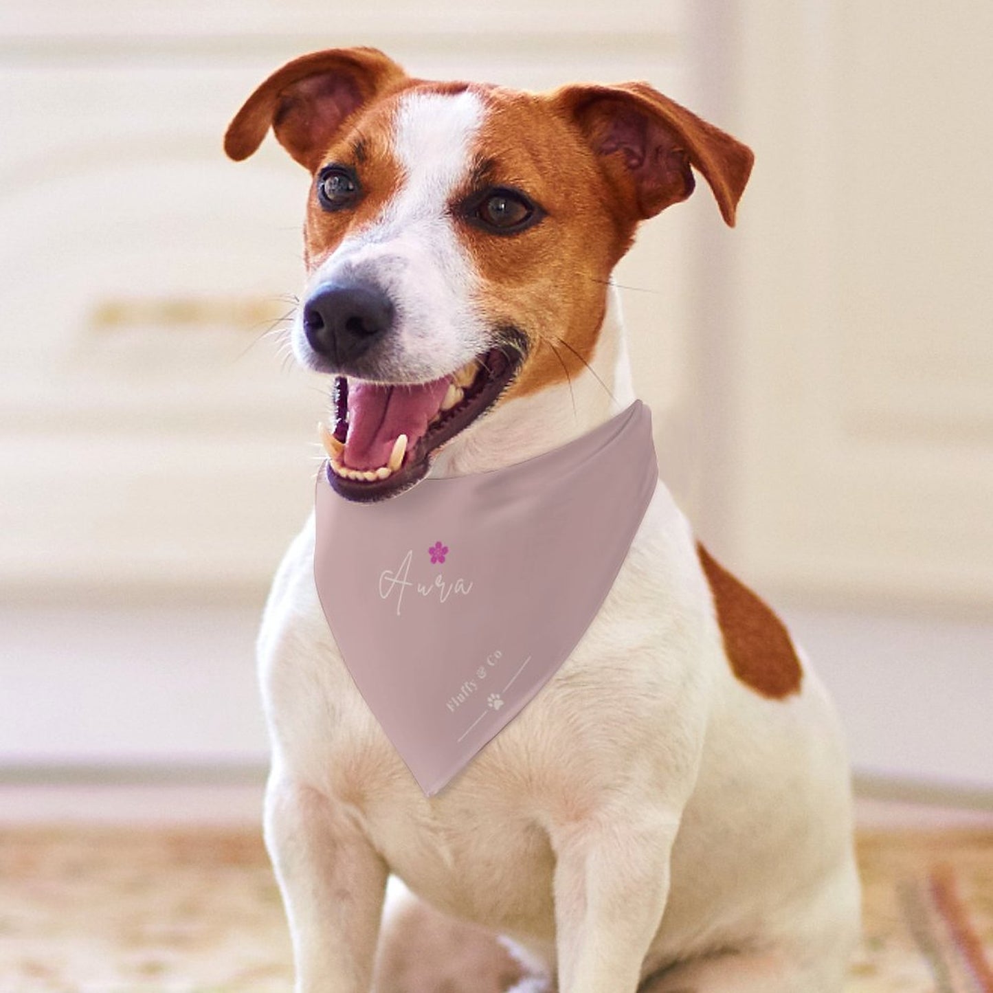Bandana Signature AURA