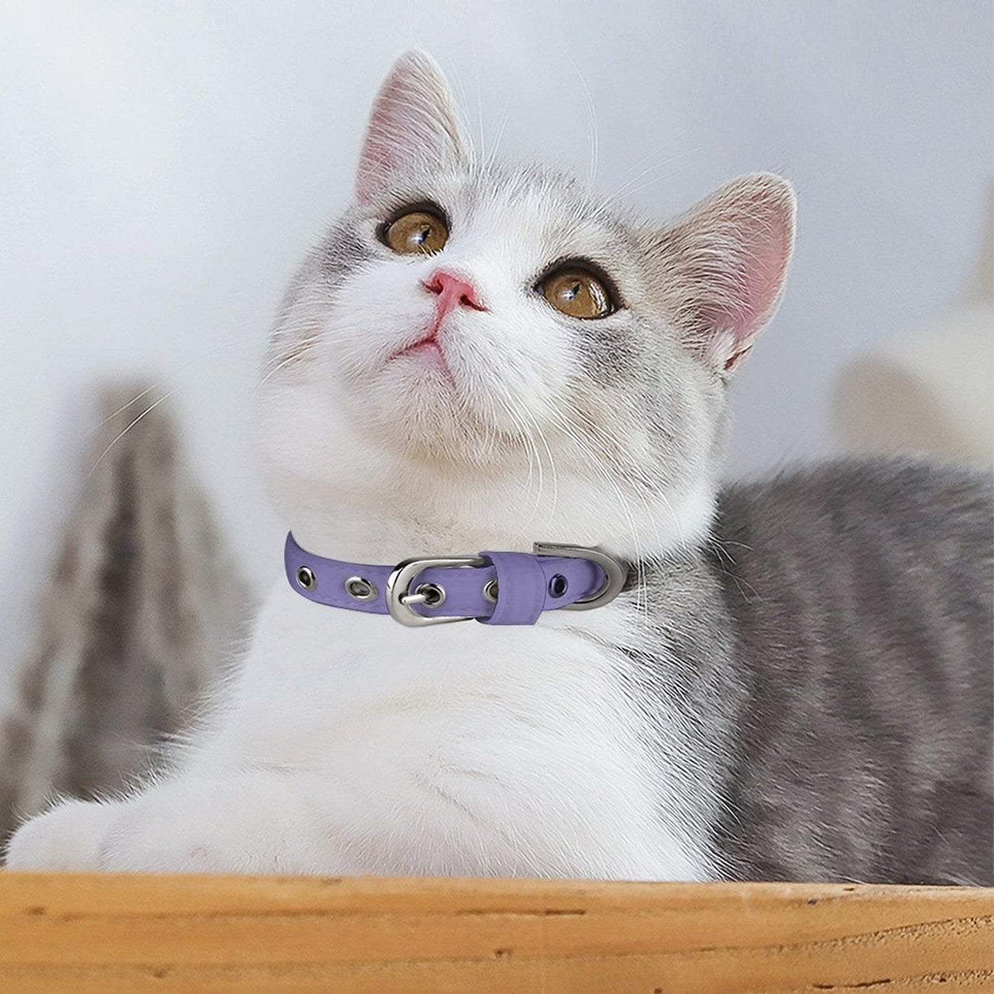 Oxford Cloth Adjustable Pet Collar for Dogs