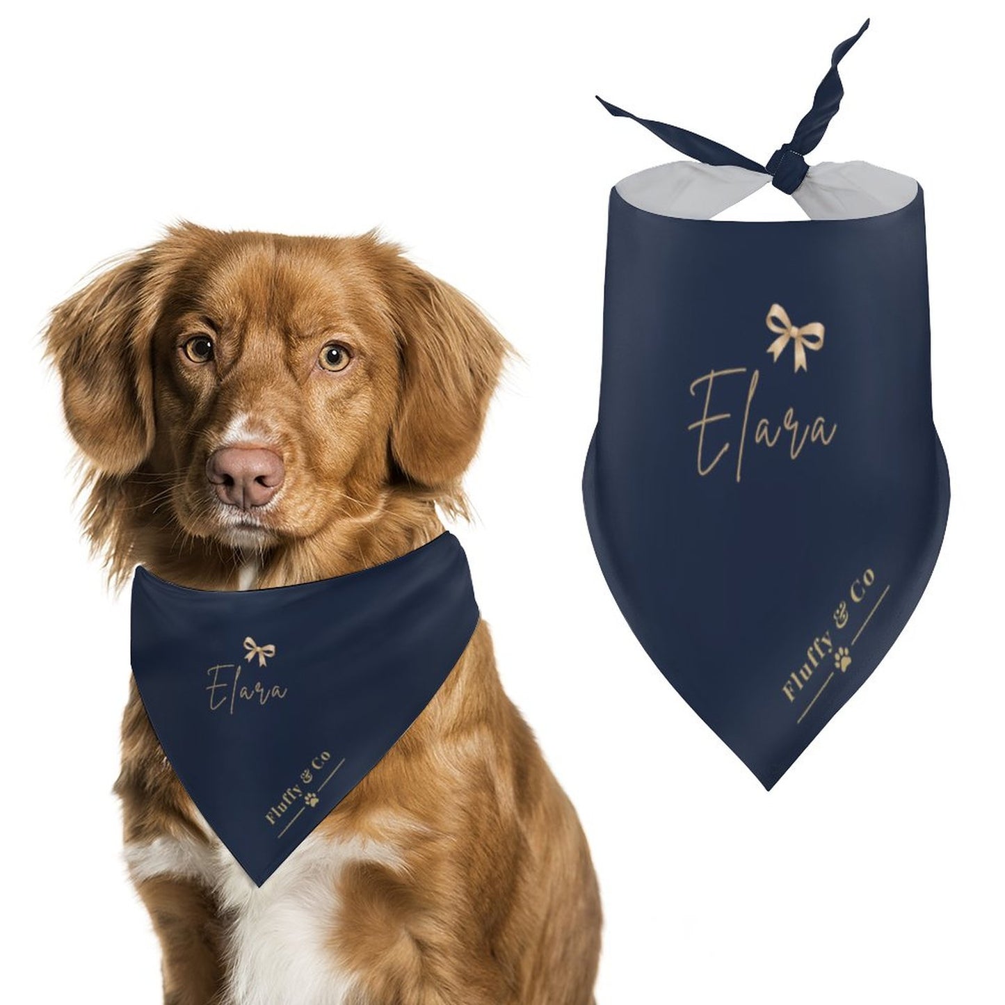 Customised Dog Bandana