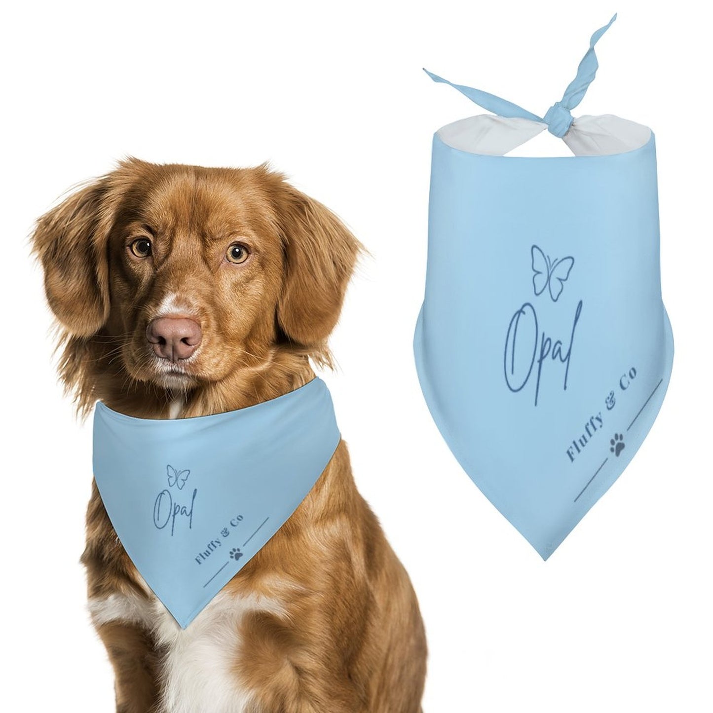 Bandana Signature – Collection Opal