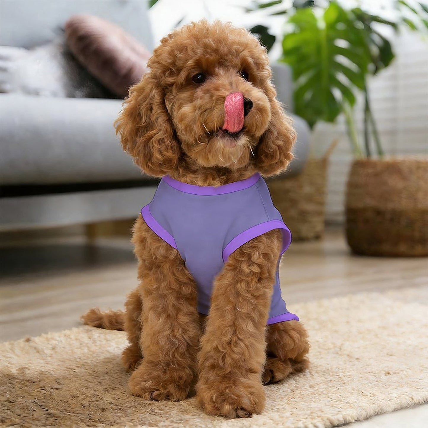 Pyjama et Chandail Signature pour chien – Collection Nova