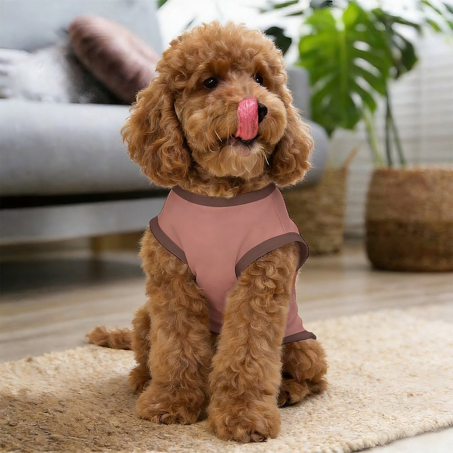 Pyjama et chandail terracotta Illustration pour chien – Collection SIENNA