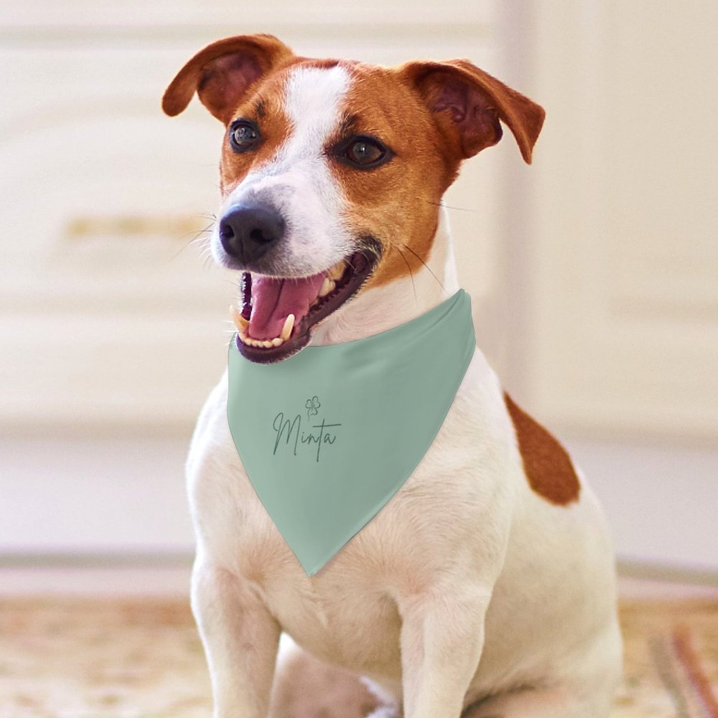 Bandana Signature pour chien – Collection MINTA