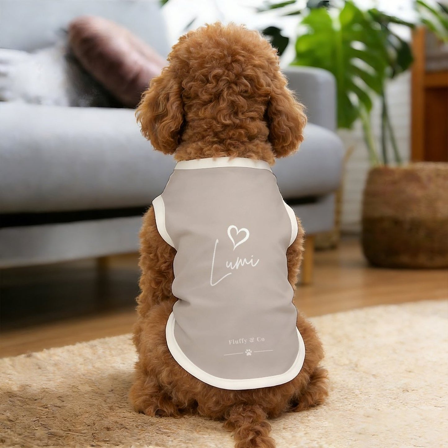 Pyjama et chandail Signature pour chien - Collection Lumi